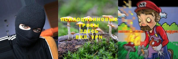 соль ск Балахна