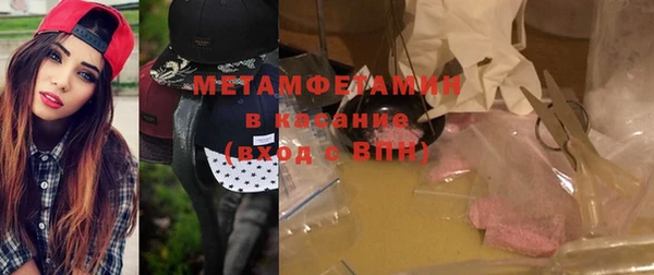 прущие грибы Балабаново