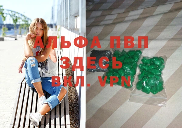 прущие грибы Балабаново