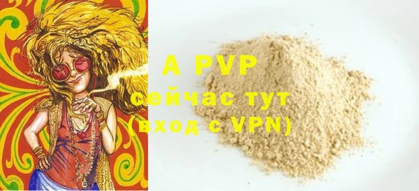 прущие грибы Балабаново