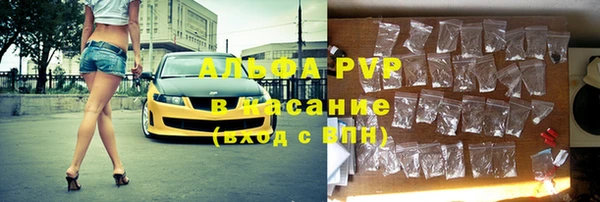 прущие грибы Балабаново