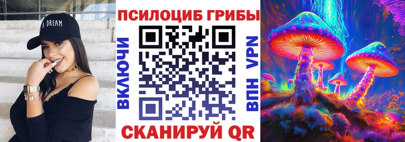 Купить где  Меленки  Галлюциногенные грибы мицелий 